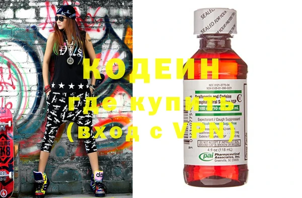индика Дмитровск