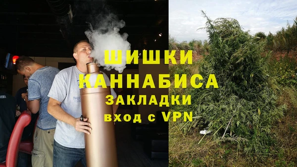 индика Дмитровск