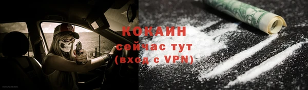 ешки Дмитриев