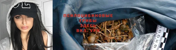 ешки Дмитриев