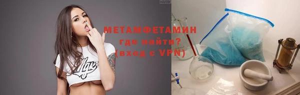 индика Дмитровск