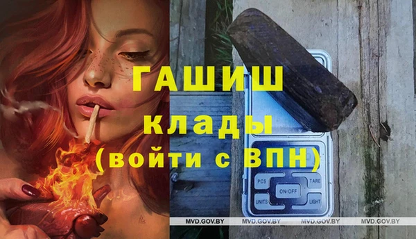 индика Дмитровск