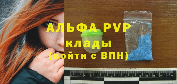 индика Дмитровск
