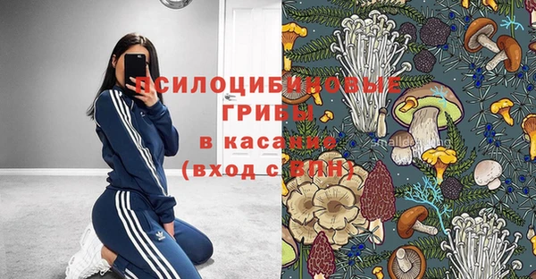 индика Дмитровск