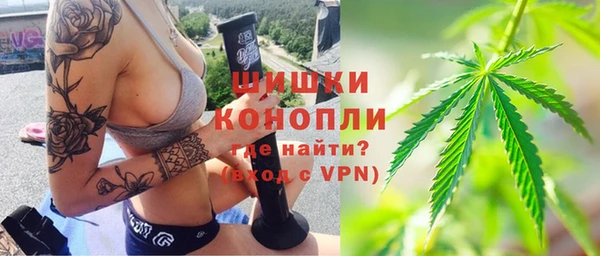 ешки Дмитриев