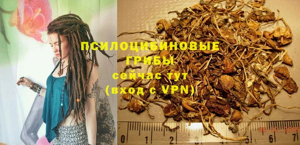 индика Дмитровск