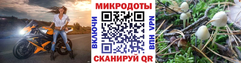 купить наркотик  сайты даркнета формула  Псилоцибиновые грибы прущие грибы  Облучье 